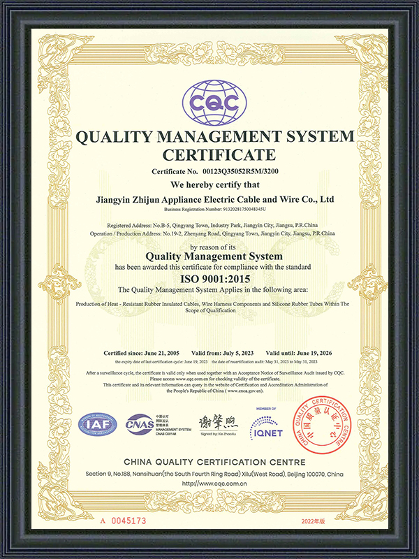 ISO9001